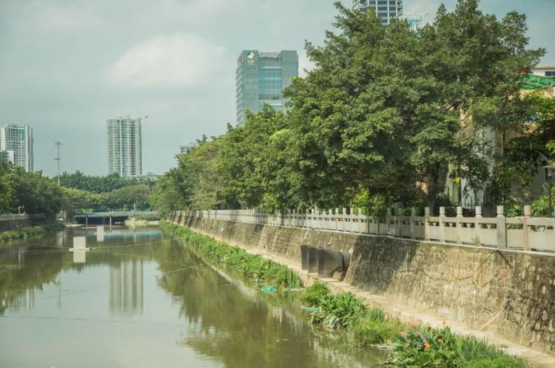 寶安水經注&middot;新安 | 堤岸拂綠、花紅臨水,河流讓城市更靈動